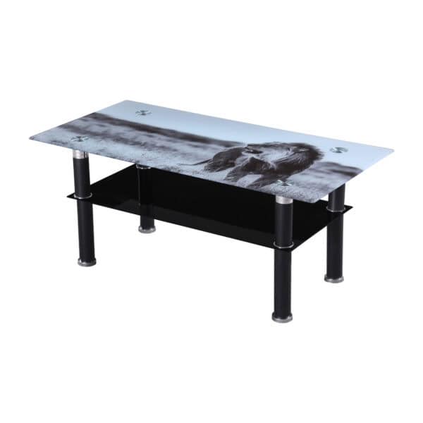 Glass Coffee Table of the Big 5