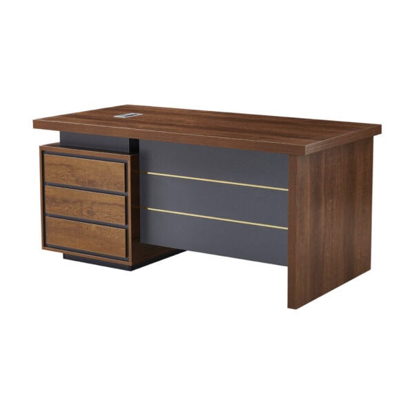 Modern Executive Desk - Available in 2 sizes - MWTJ