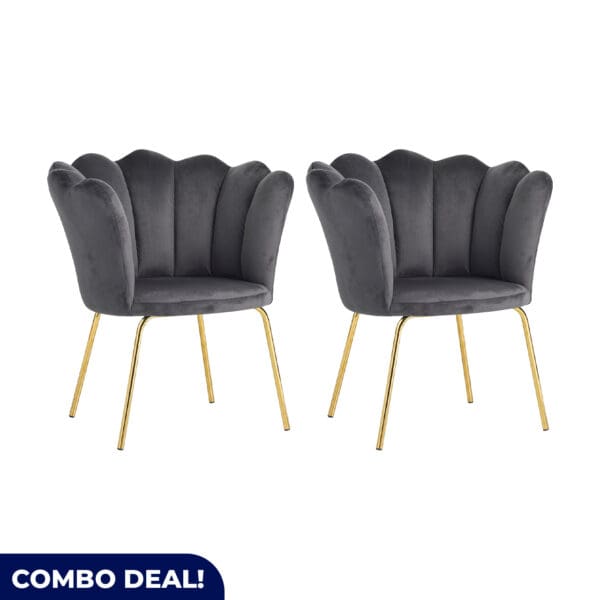Set of 2 Chic Occasional Chair - Available in 3 Colours